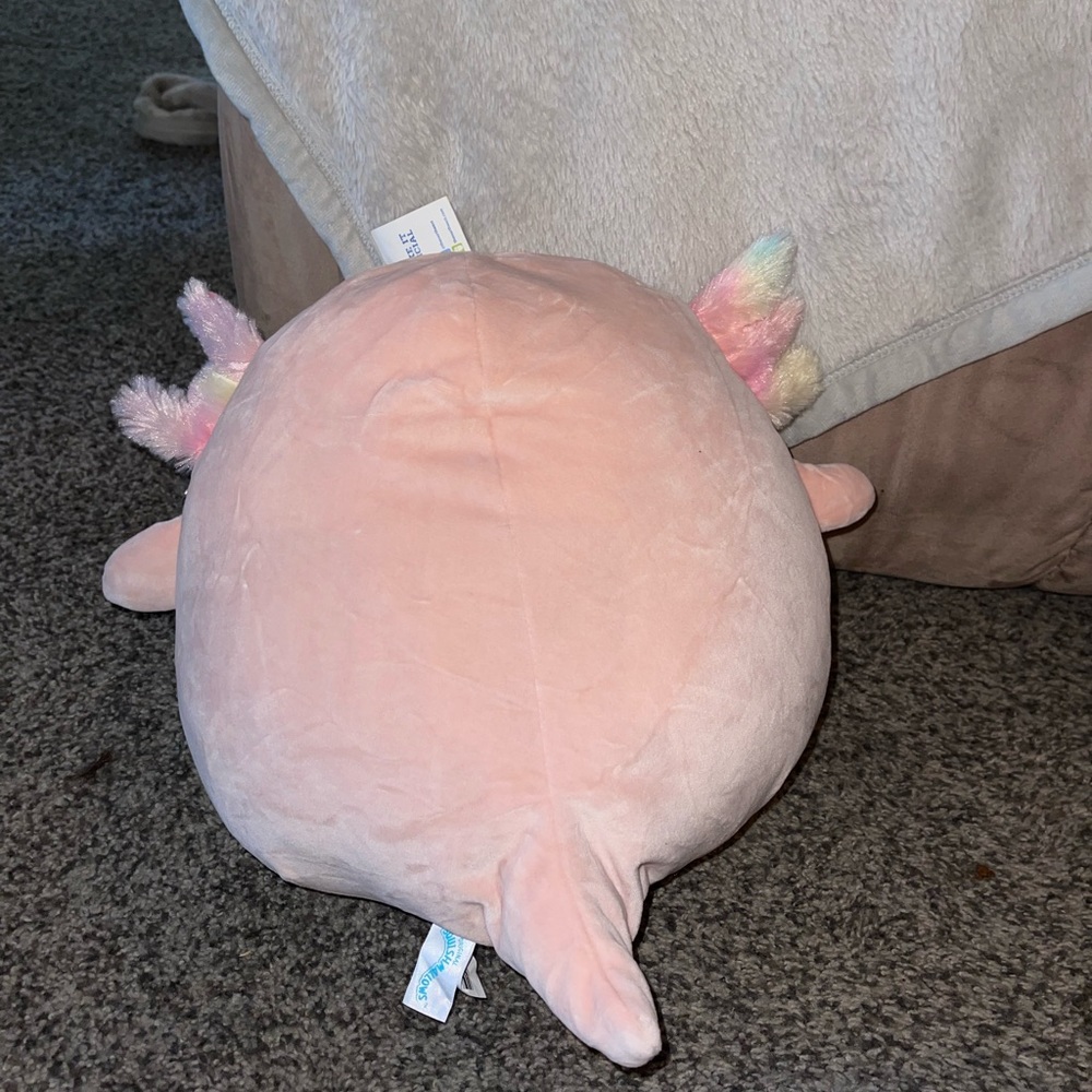 Archie 12 Inch - Picture 2 of 3